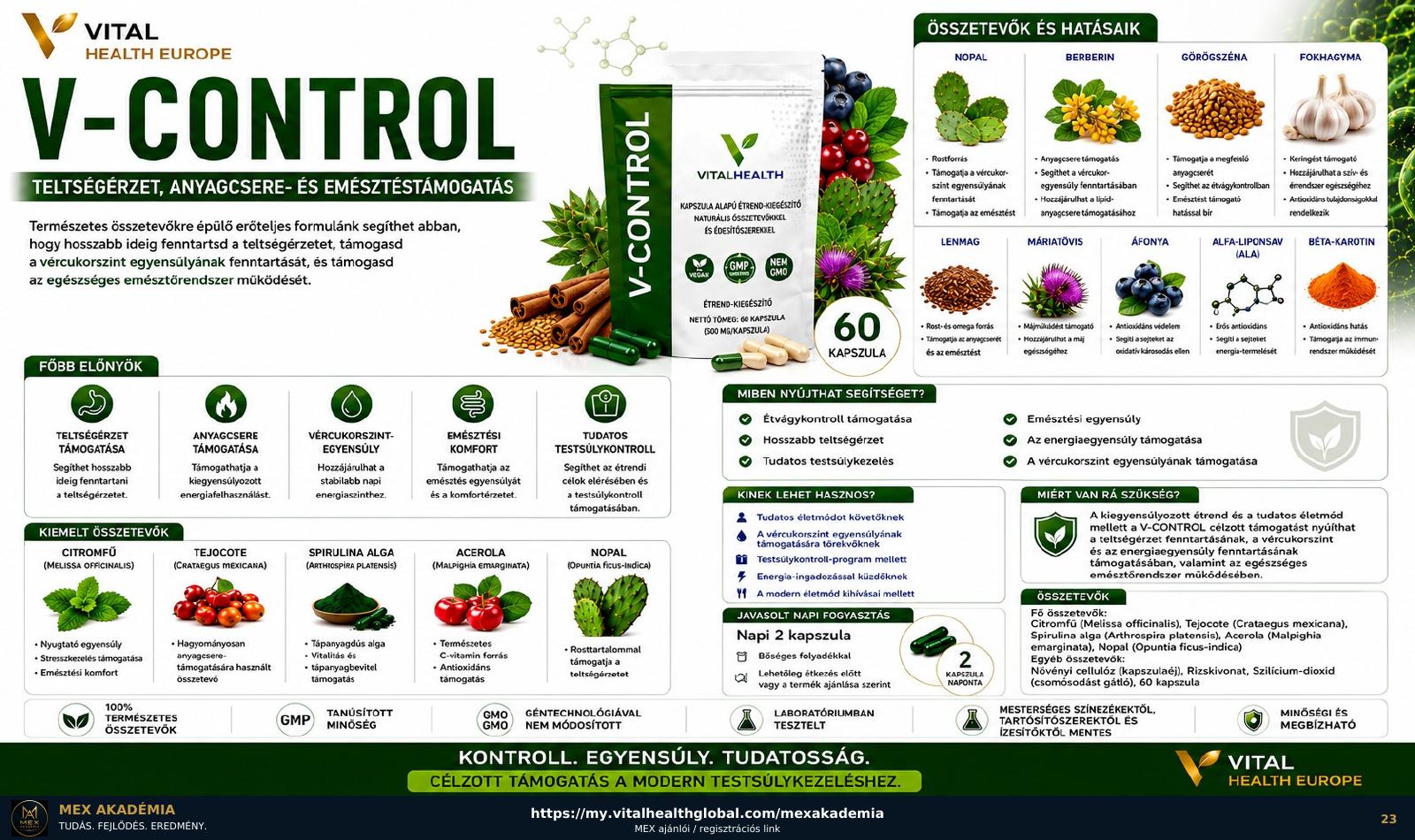V-Control