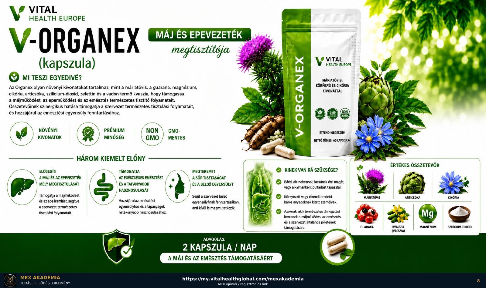 V-Organex