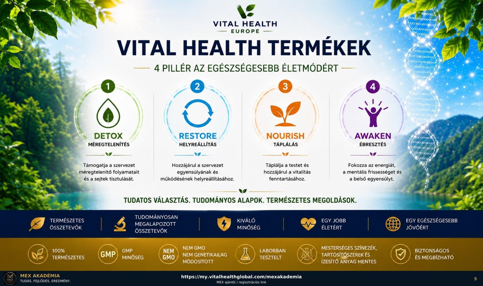 Vital Health termékcsaládok